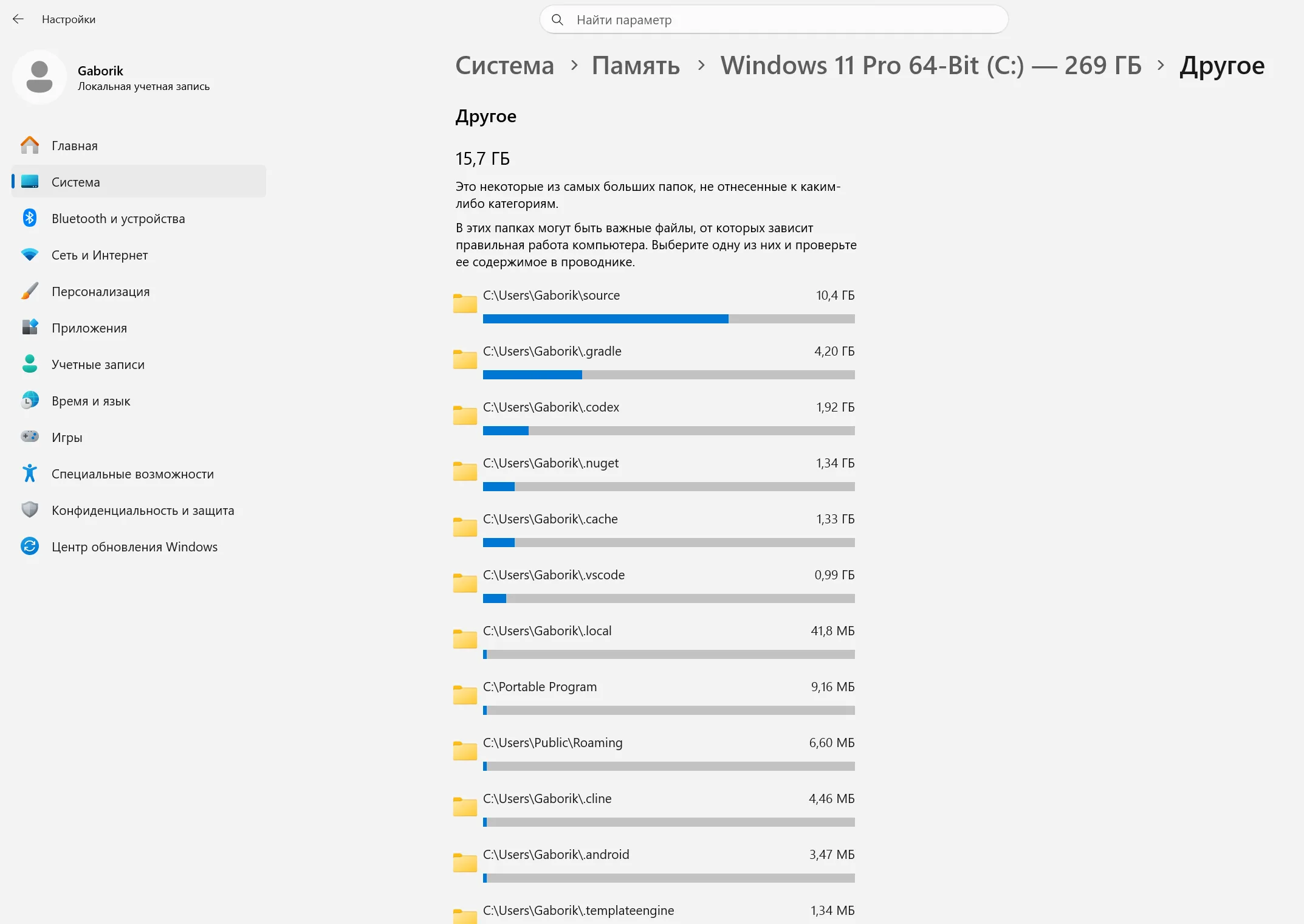 Категория Другое в хранилище Windows 11 с крупными папками