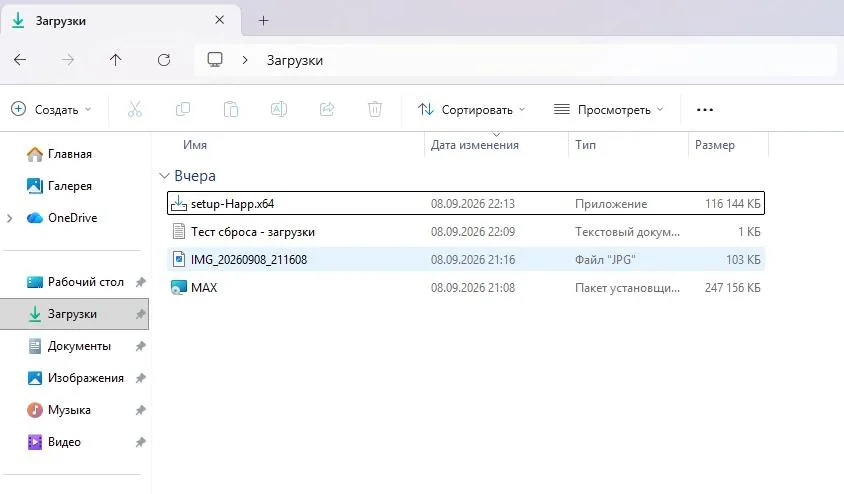 Сохранённые файлы в папке Загрузки после сброса Windows 11
