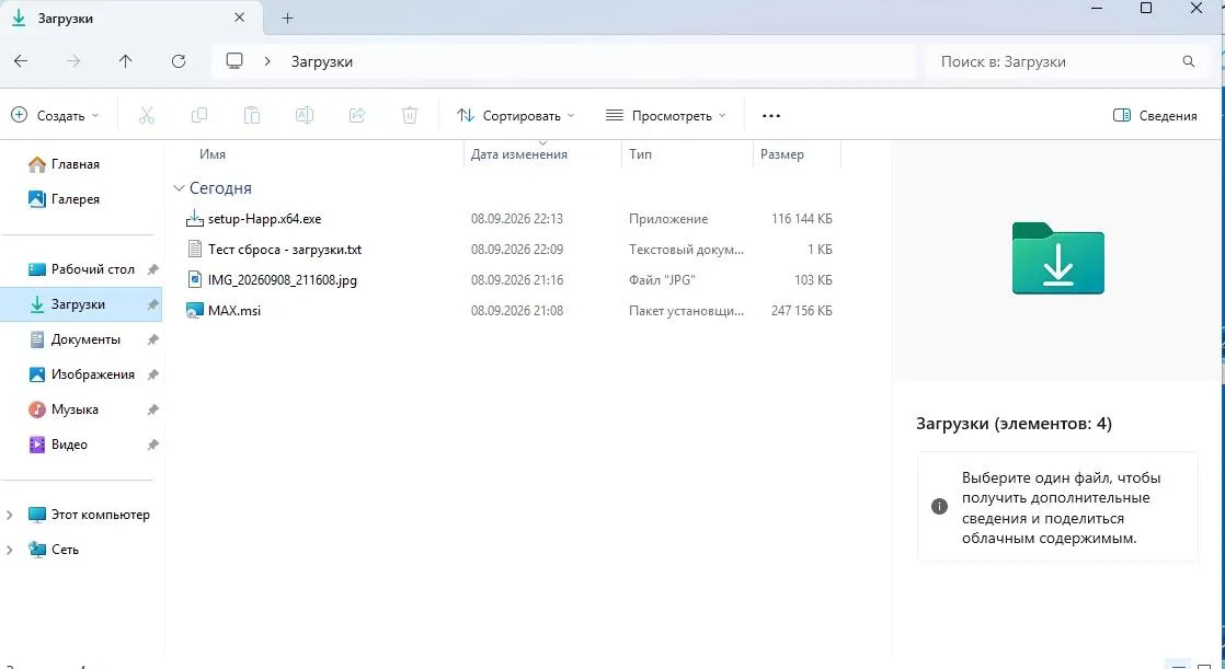 Файлы в папке Загрузки перед сбросом Windows 11